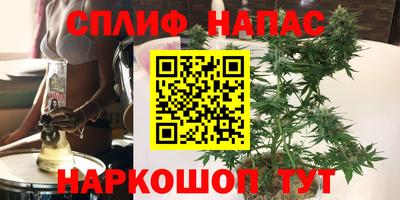 прущие грибы Рузаевка