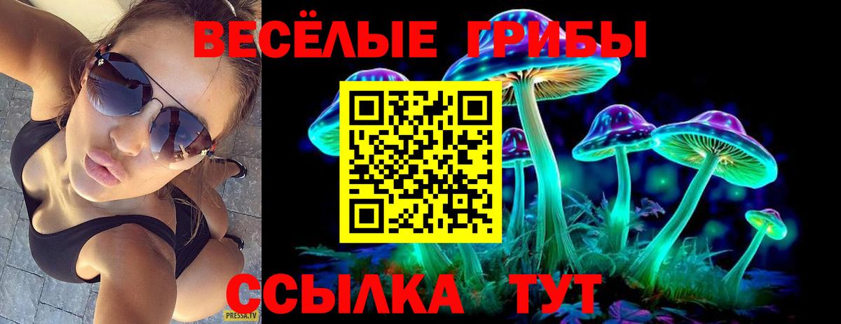 Рузаевка  Галлюциногенные грибы мицелий  магазин продажи наркотиков  Вход с VPN 